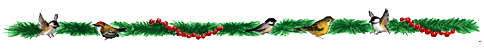 fuglebort