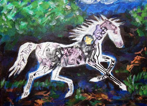 illustreret hest